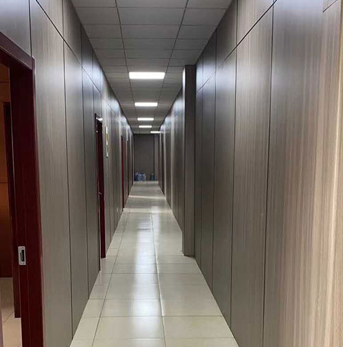 مشروع تكامل هونغزي ليك الطبي والتمريض